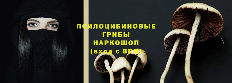 ссылка на мегу рабочий сайт  Каменск-Уральский  Галлюциногенные грибы Cubensis  как найти наркотики 